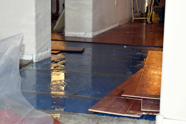 Professional Basement Water Removal technician working in Stover, MO